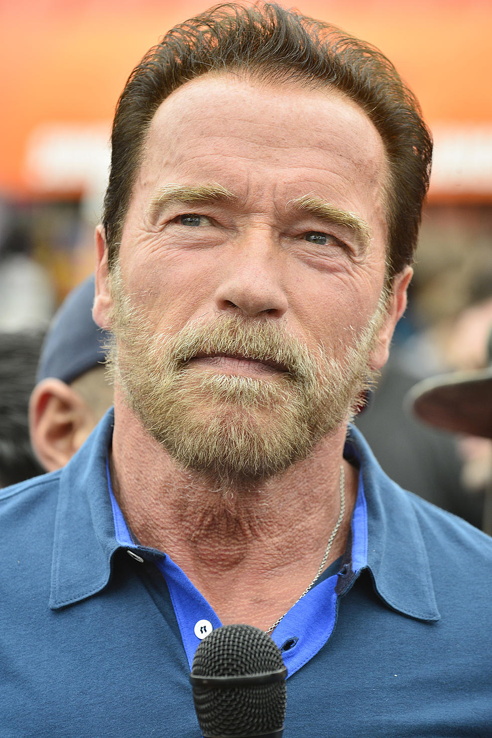 What’s the Point in Arnold Schwarzenegger Going Undercover? [Video]