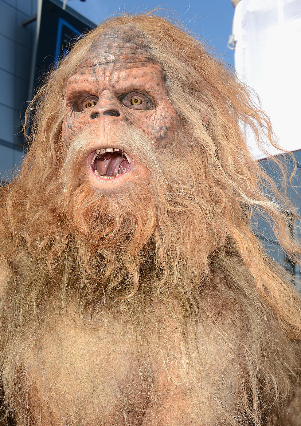 Free Beer & Hot Wings: Bigfoot Hunter Takes His Bigfoot Corpse on Tour [Video]