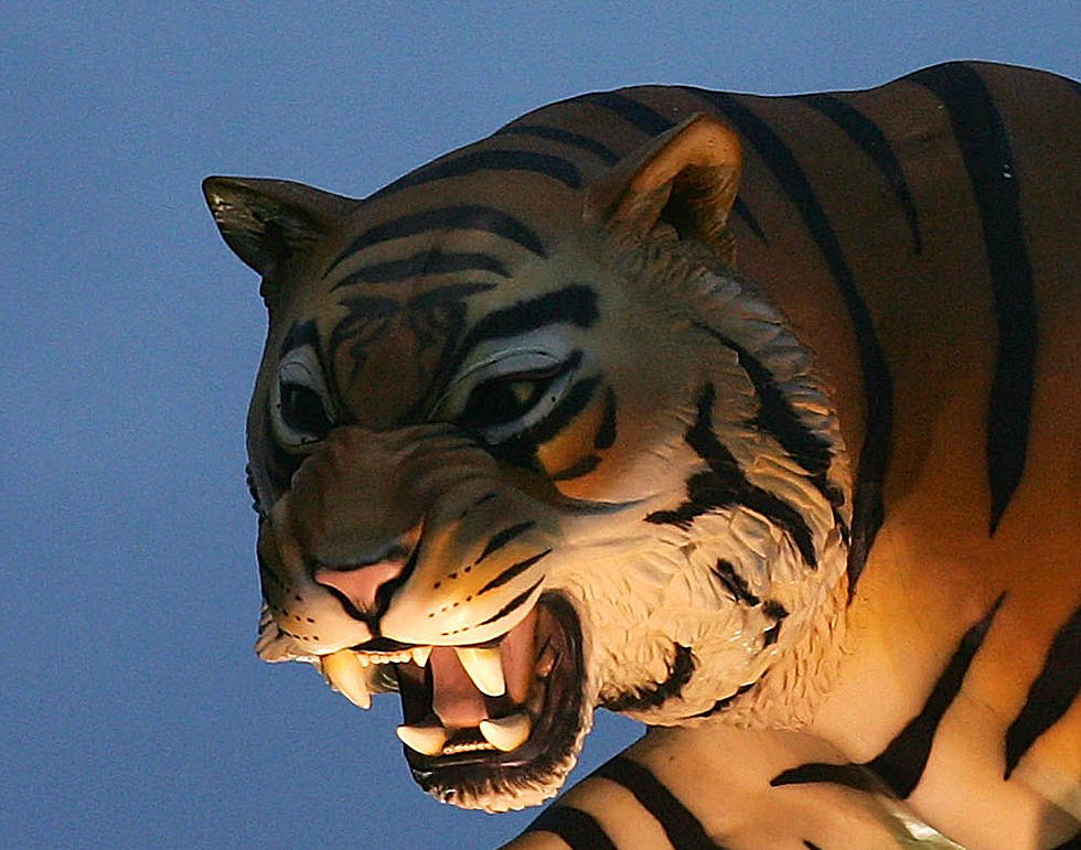 This Man’s Tiger Statue Was Stolen From His Front Yard [Video]