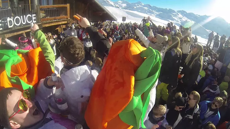 Free Beer & Hot Wings: This Is How to Ruin a Party With a Carrot [Video]