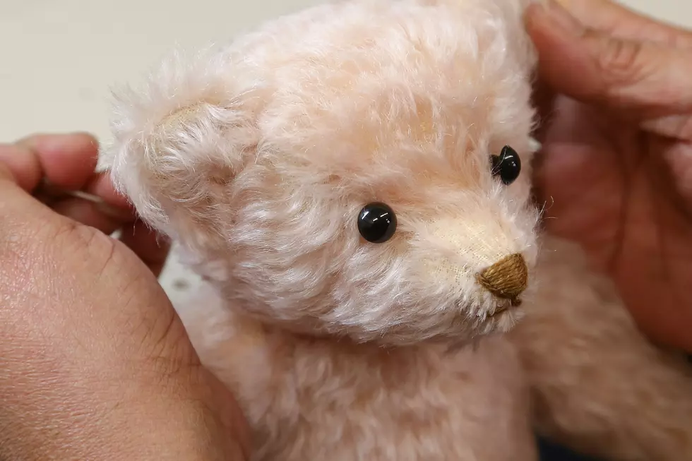 Girl’s Stuffed Animal Returned After Long Adventure [Video]