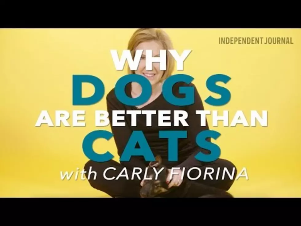 Carly Fiorina Explains Why Dogs Are Better Than Cats [Video]