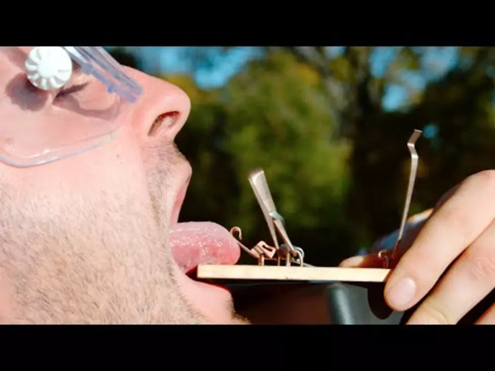 Idiot Sticks His Tongue in a Mousetrap [Video]