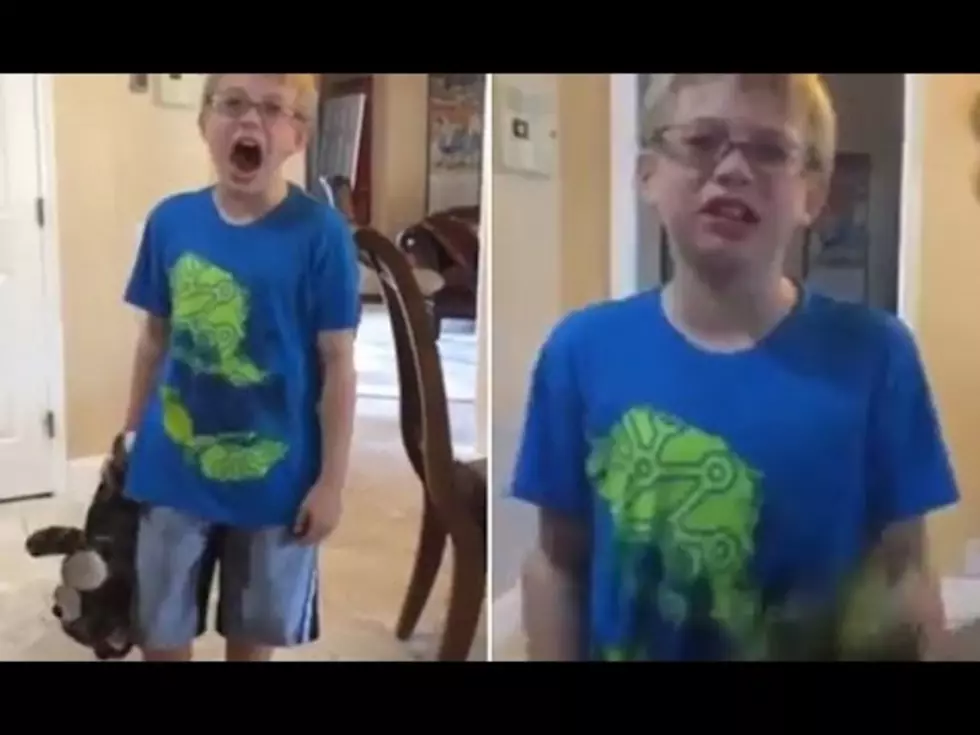 Kid Loses His Mind Because His Sister Ate His Chicken Skin [Video]