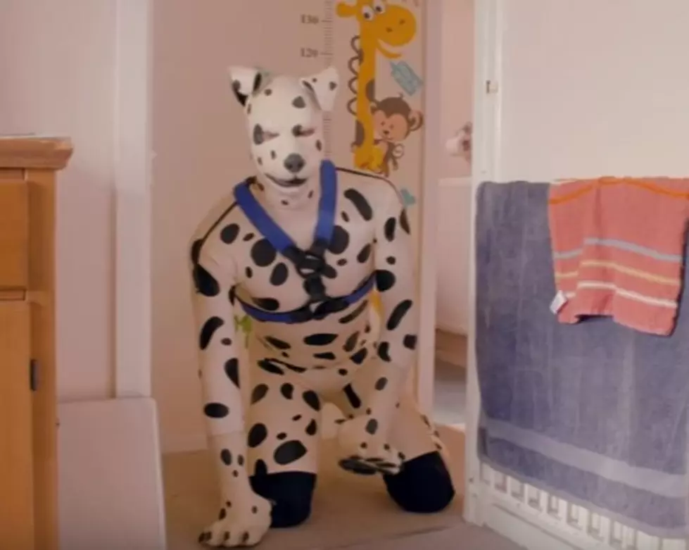 When Grown Men Dress Up in Latex Dog Costumes [Video]