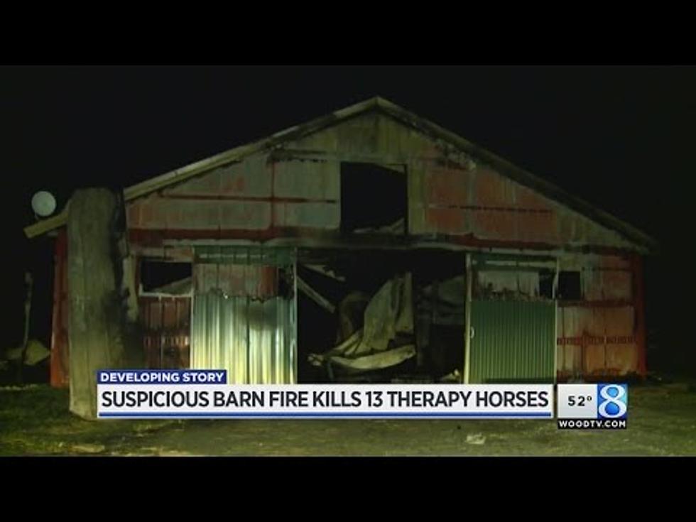 Authorities Investigate Lowell Barn Fire that Killed 13 Horses [VIDEO]