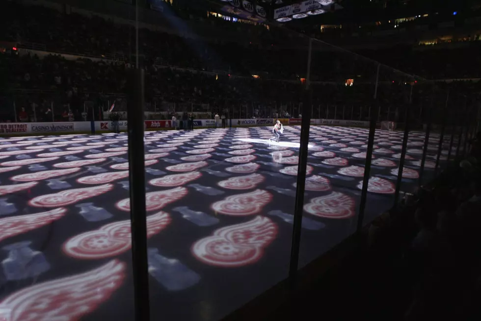 Detroit Red Wings Release Statement About the Use of Their Logo at White Nationalists Meeting