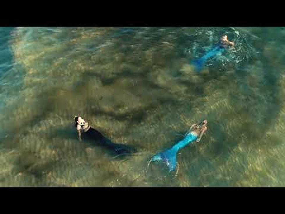 Mermaids Spotted in Lake Michigan [VIDEO]