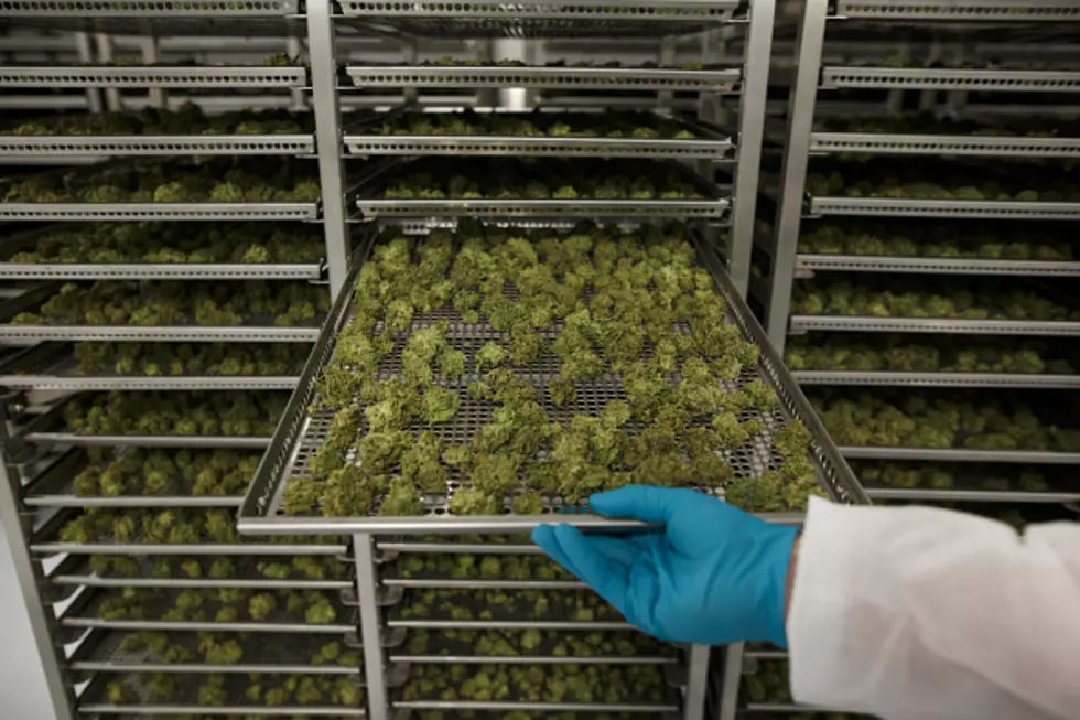 Watch: The First Sales Of Recreational Marijuana In Michigan