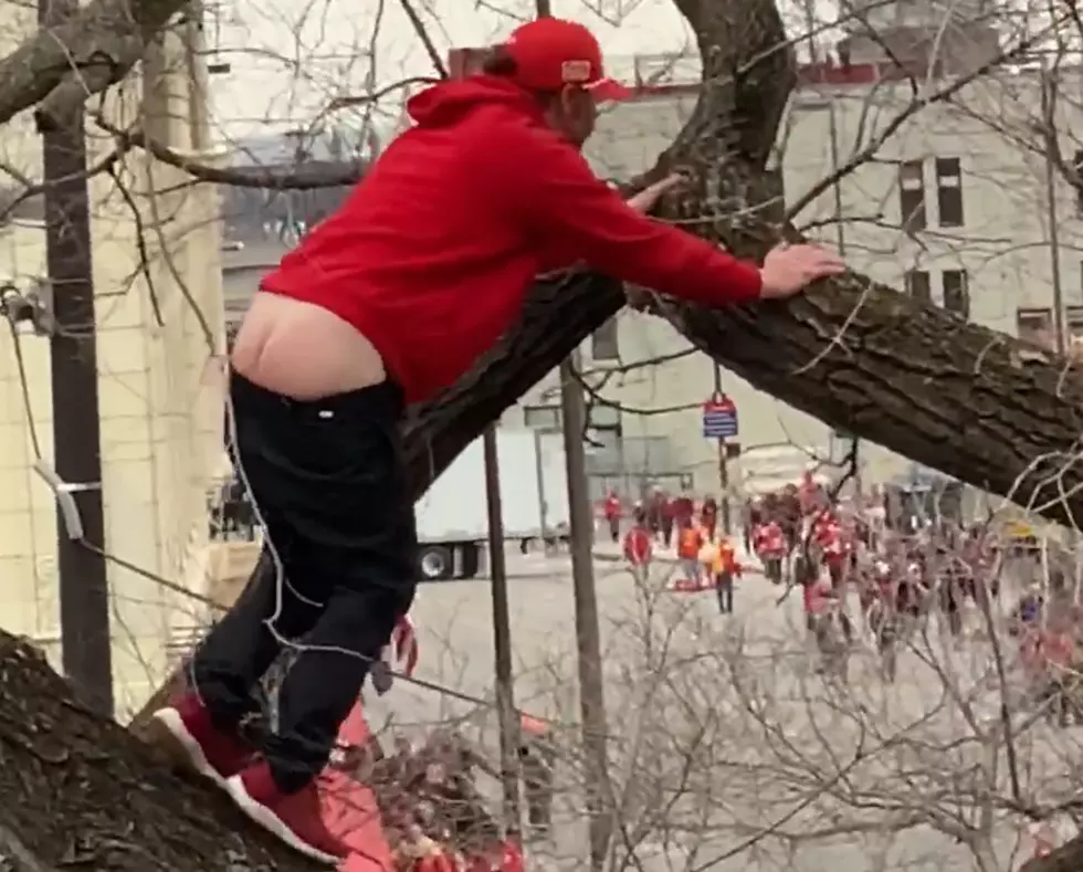 Chiefs Fan With His Ass Hanging Out Falls From A Tree At The Championship Parade