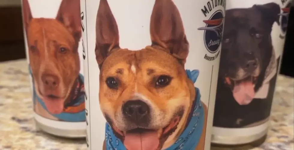 How Did A Beer Can Help A Family Find Their Missing Dog?