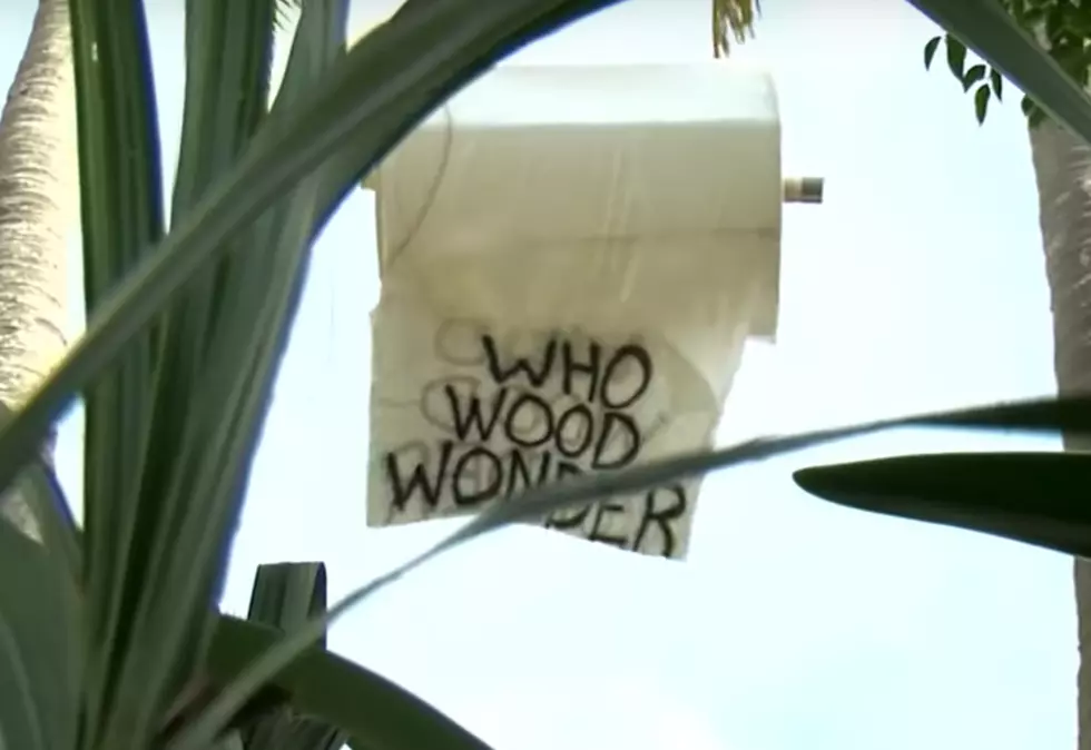 A Giant TP Roll Taunts The Neighbors Of This Florida Man