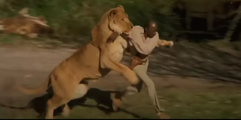 Like Tiger King? “The Most Dangerous Movie Ever Made” Is Right Up Your Alley
