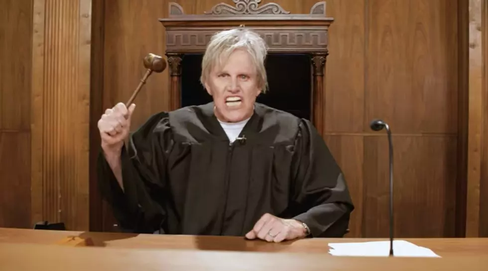 Gary Busey Isn’t A Real Judge, But Does That Matter In Pet Court?