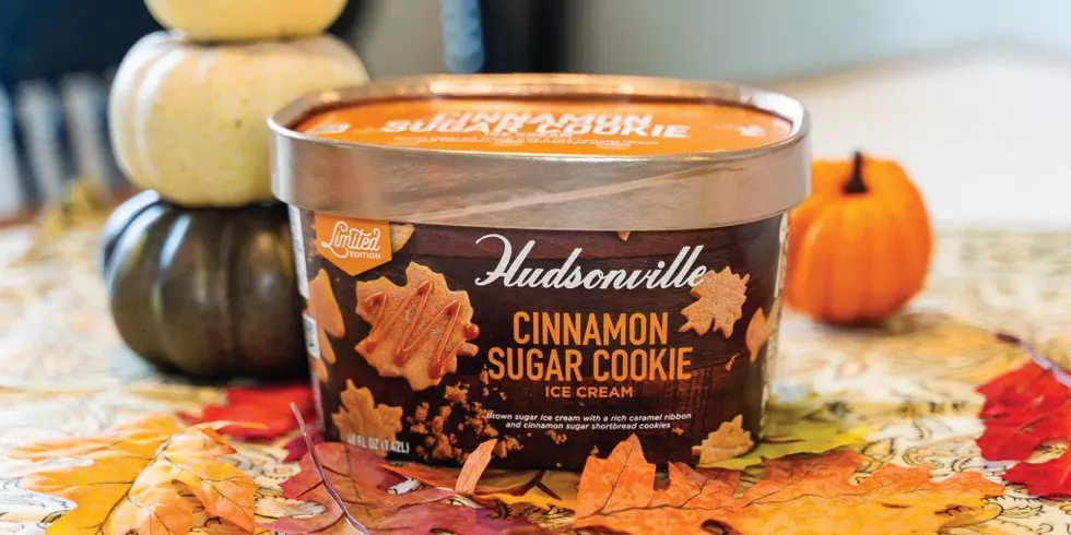 Hudsonville Ice Cream Releases New Limited Edition Fall Flavor