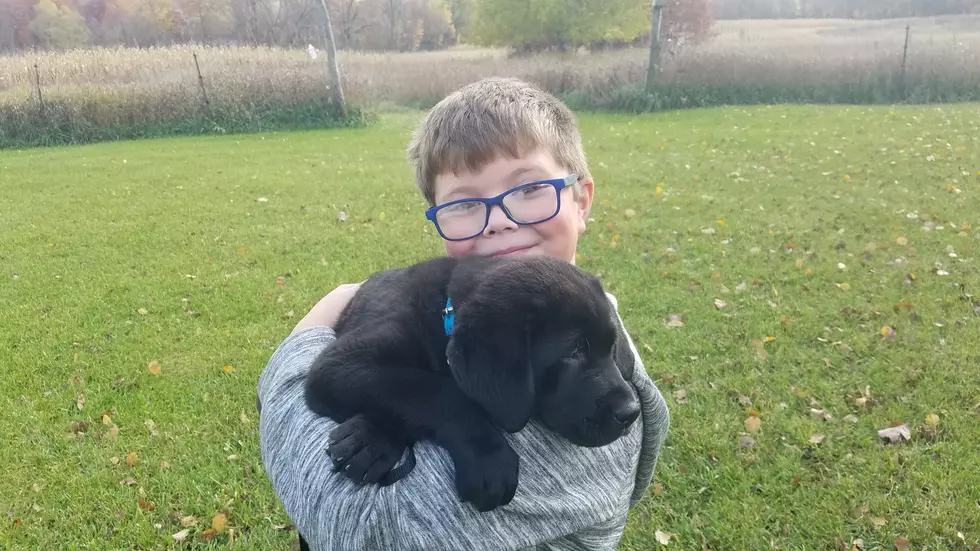 My Little Boy Gets New Puppy