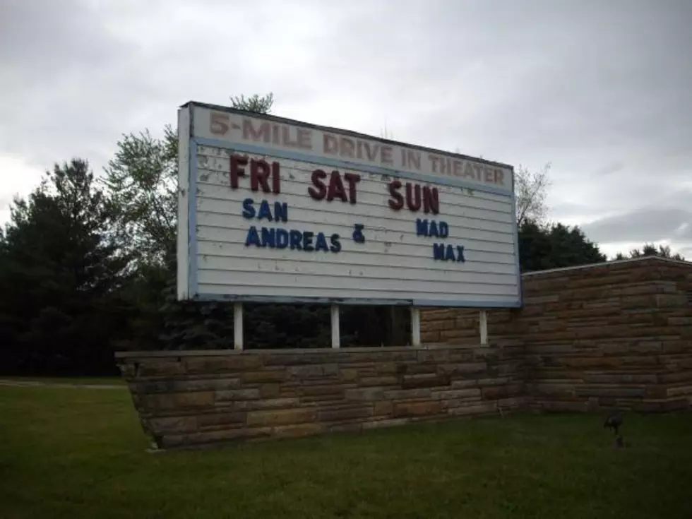 Two West Michigan Drive-In Theaters for Sale for $449K [PHOTOS]