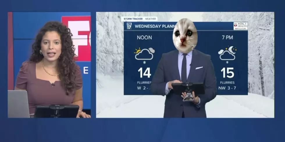 MEOW With Your Weather Report – FOX-17 Meteorologist Eric Kostrzewa