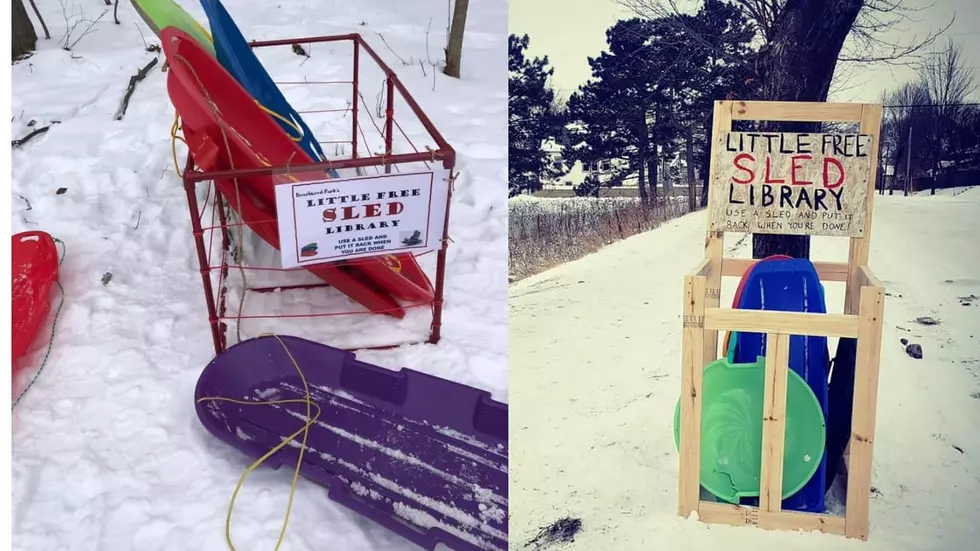 Little Free Sled Libraries Come to Muskegon Parks
