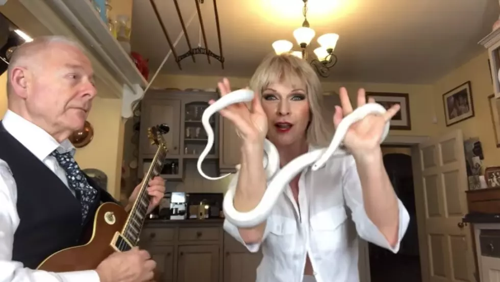 King Crimson’s Robert Fripp and Wife Toyah Cover Foo Fighters’ Everlong… With a Snake