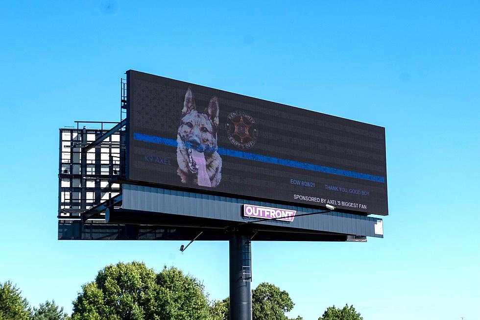 New Billboards Honor Kent County K-9 Axel Who Died in the Line of Duty