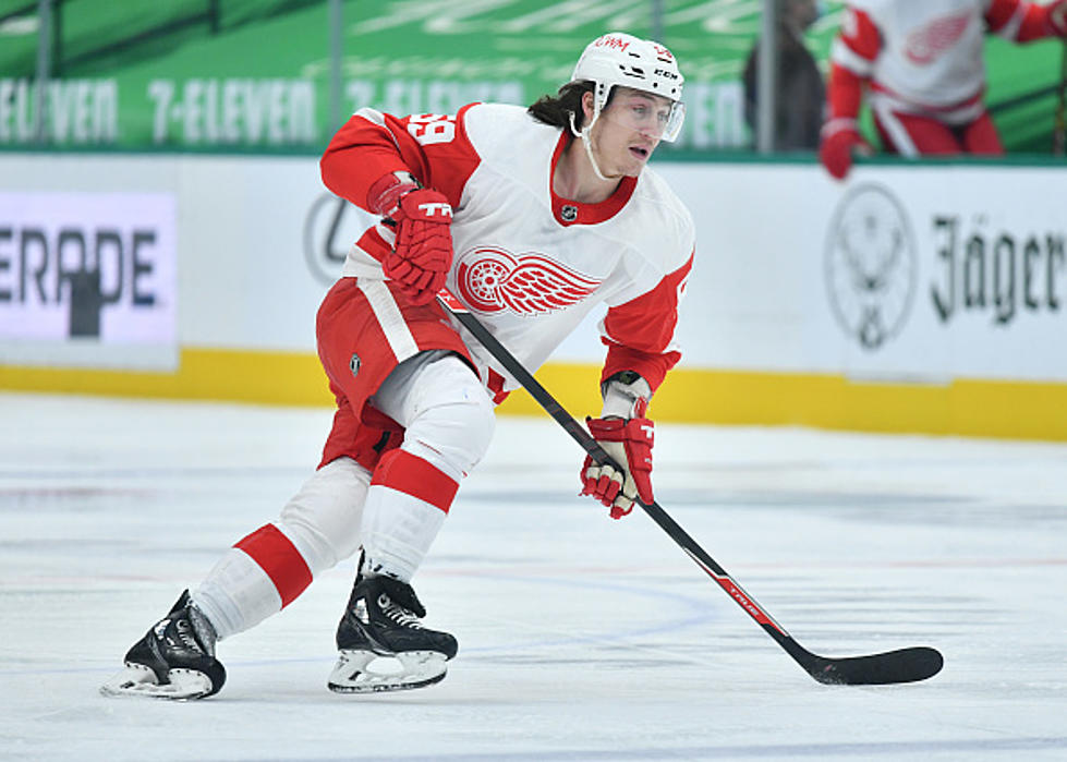 One Detroit Red Wings Player Cannot Play Any Games In Canada