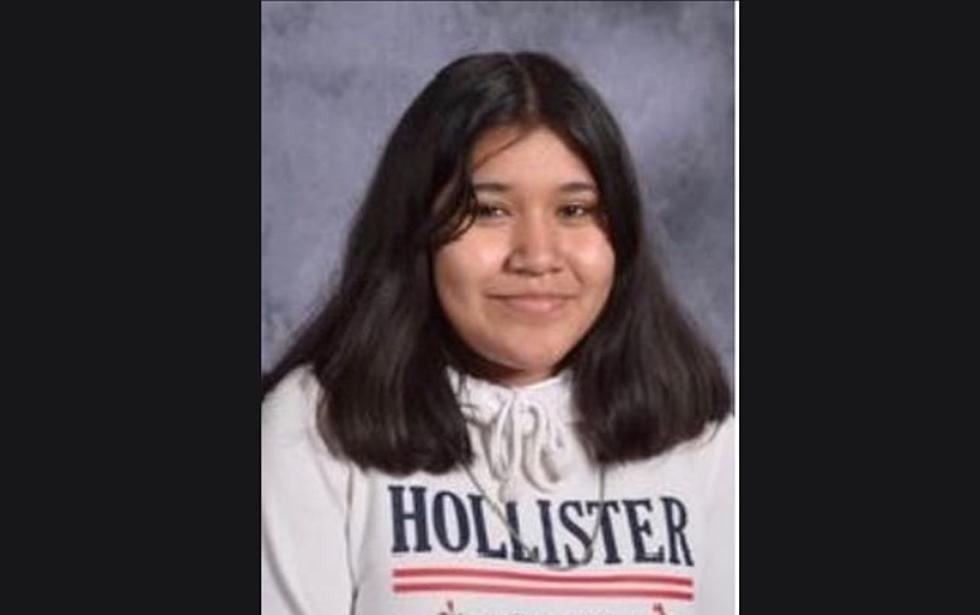 Police Search for Missing Pregnant Teenager from Ottawa County