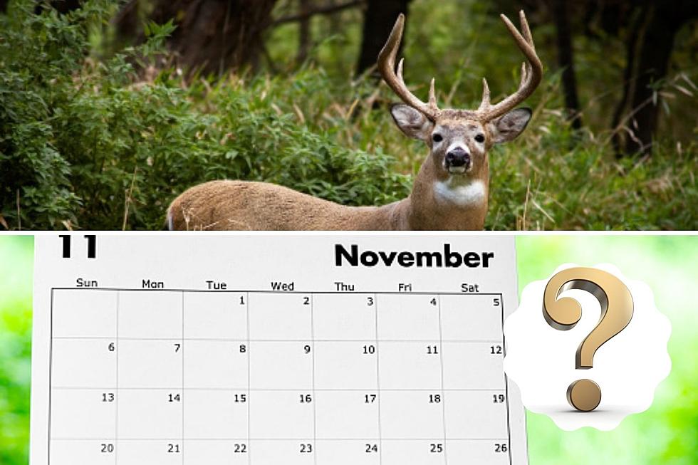 Why Doesn&#8217;t Mi DNR Move Opening Day Of Deer Firearm Season?