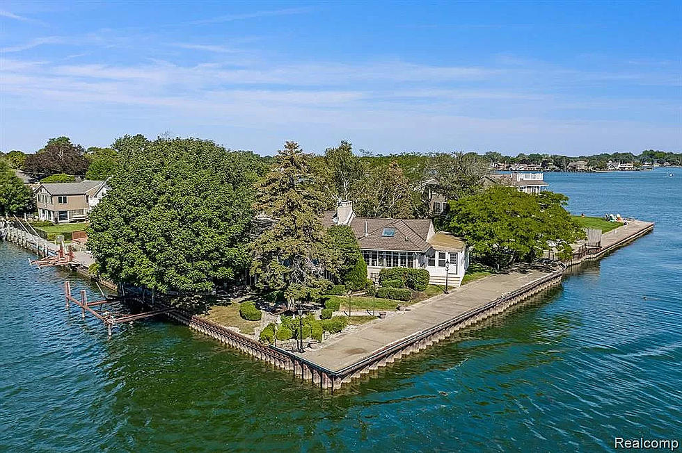 Lakefront Michigan Mansion with Toilet Throne was Once Owned by Radio/ TV Star