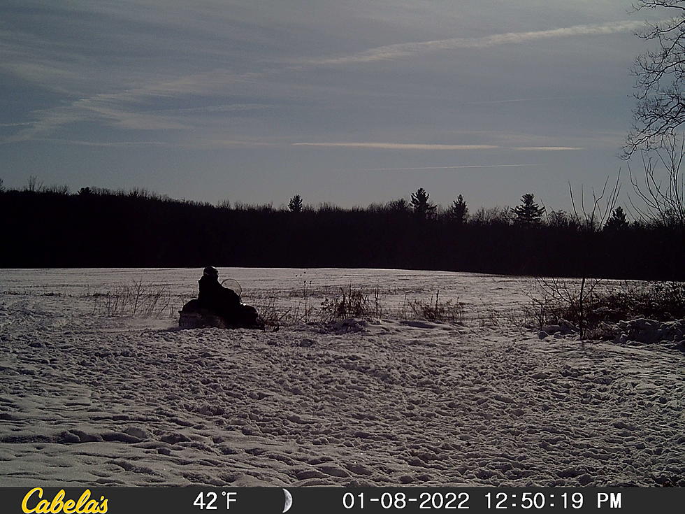 Top 10 Best Places To Snowmobile In Michigan