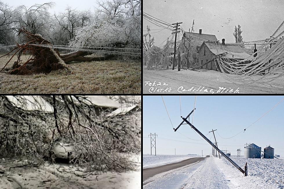 What Are The Worst Ice Storms Recorded In Michigan? Find Out Here