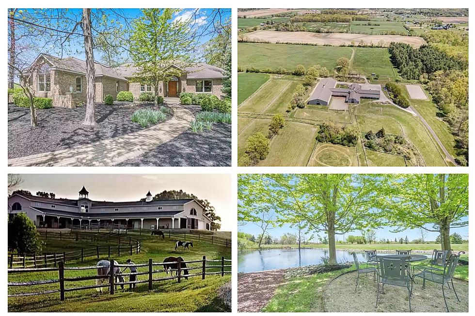 Picturesque Michigan Horse Farm on 120+ Acres with Two-Story Barn, Indoor Arena Hits Market