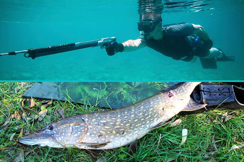 Underwater Spearfishing Has Been Added to Lake Michigan South of Grand Haven