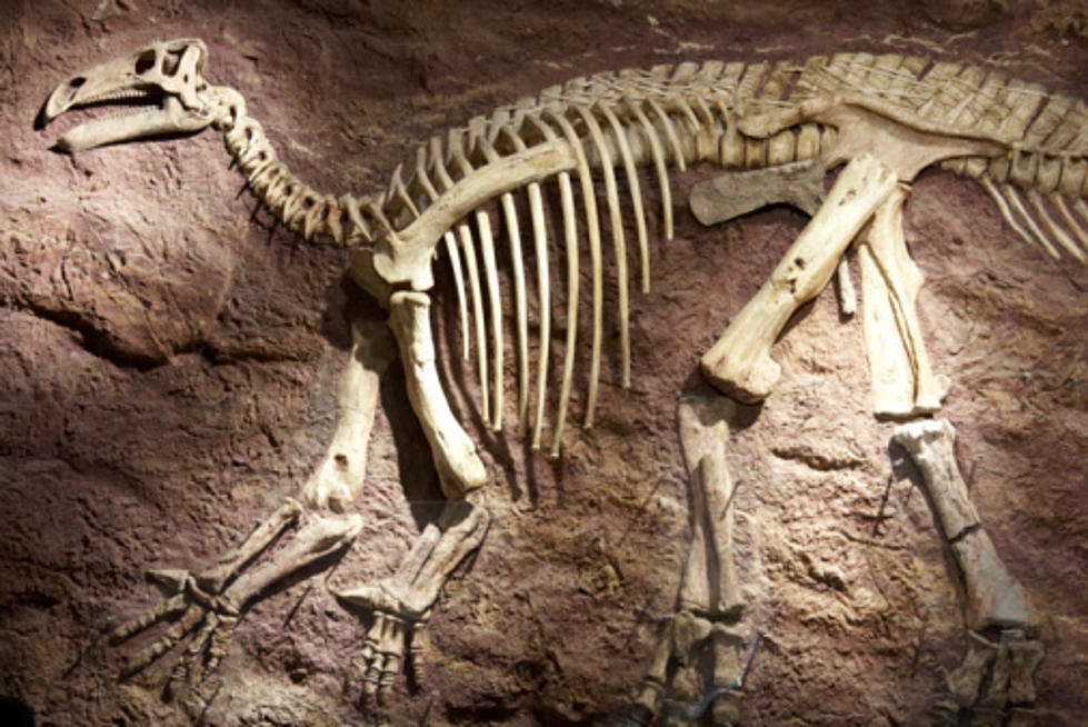 No Dinosaurs Have Ever Been Discovered in Michigan, But Why?