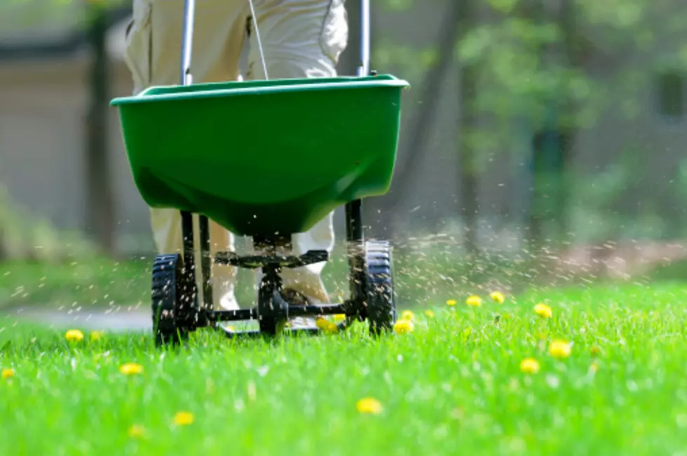 Plan on Fertilizing Your Lawn? Be Prepared To Pay A Lot