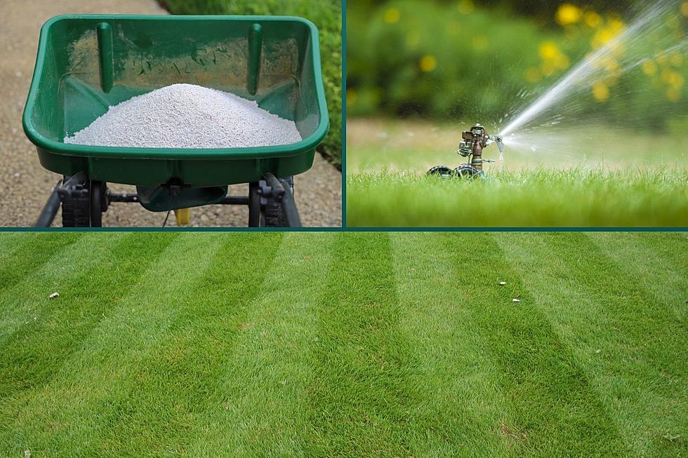 When and How In The Spring Should I Fertilize My Michigan Lawn?