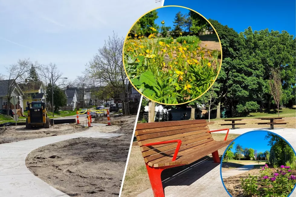 Empty Lot in Northwest Grand Rapids Transformed into Welcoming Neighborhood Park
