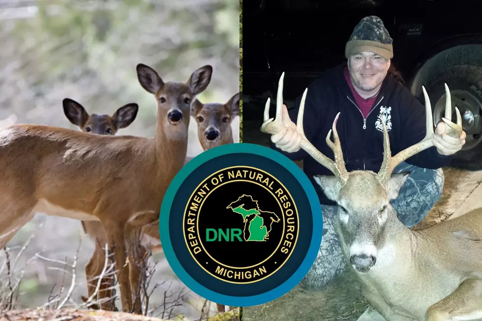 Michigan Hunters &#8211; Is It Time To Only Be Allowed to Shoot One Buck Per Season?