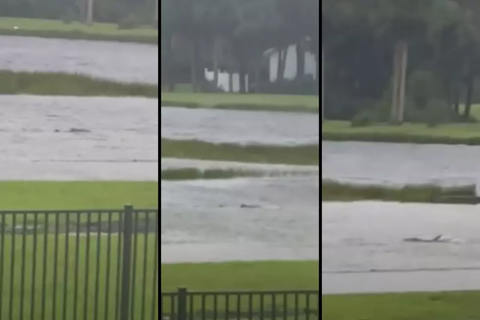 Hurricane Ian May Have Provided a Sharknado Like Piece of Video