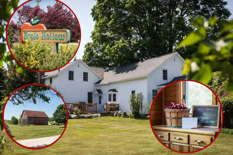 Visiting an Apple Orchard in Michigan? Vacation At One With This Airbnb
