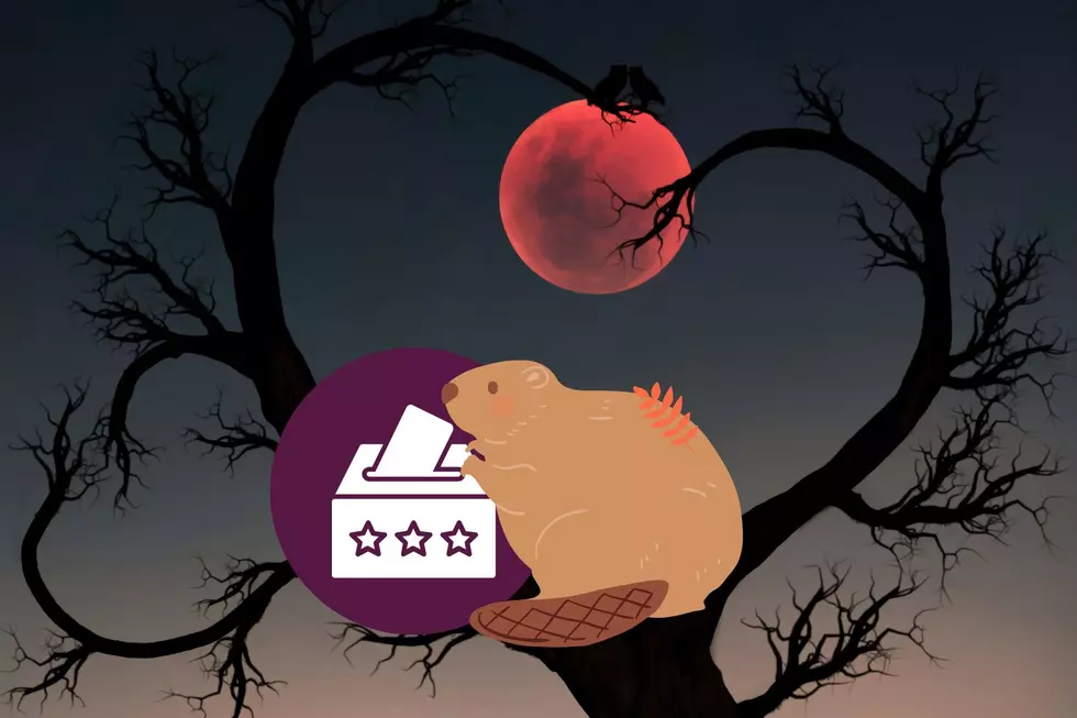 Will The Beaver Blood Moon Have Any Effect On Election Results?