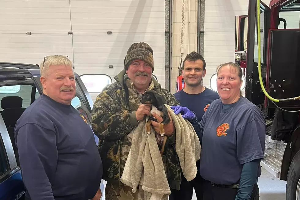 West Michigan Firefighters Save Puppy From Fentanyl Overdose