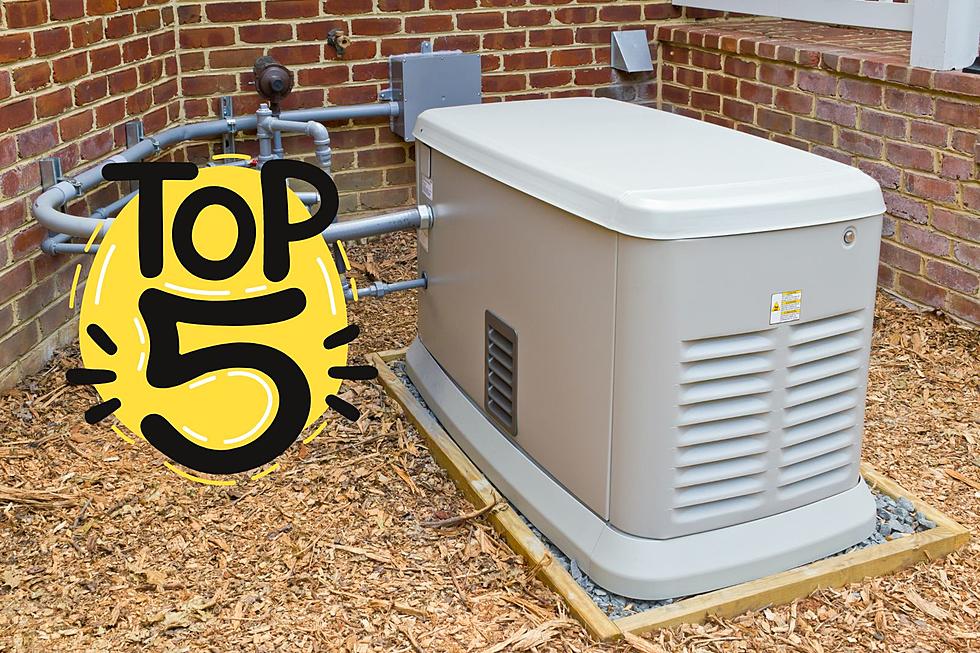 Tired of Losing Power During Michigan Storms? Here Are the Top 5 Generators