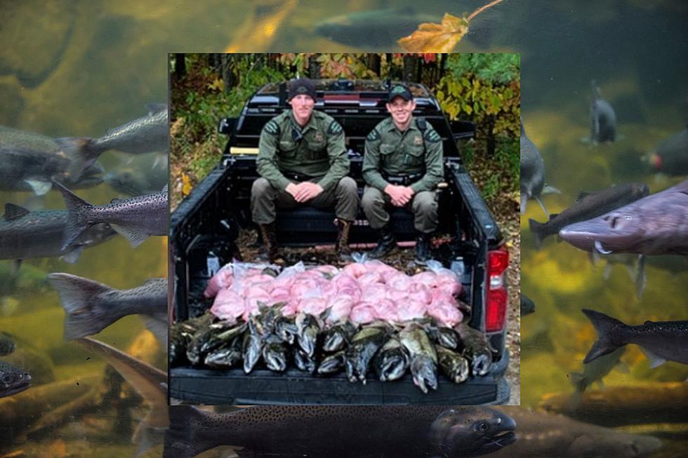Out of State Fishermen Busted For Poaching 460 lbs. of Salmon