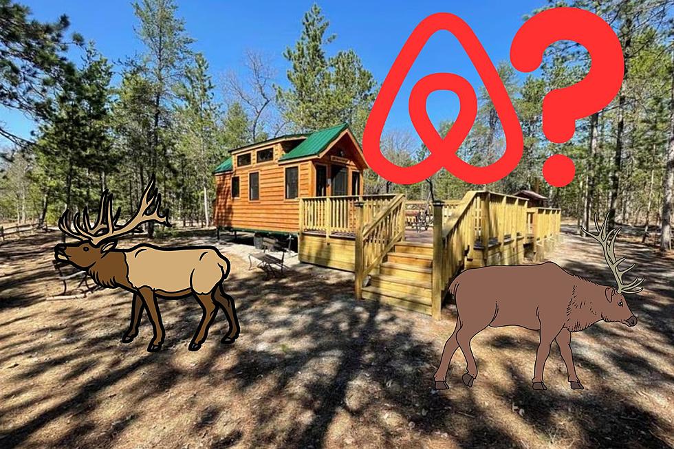 Has The DNR Created an Airbnb With Tiny Elk Cabin at Clear Lake?