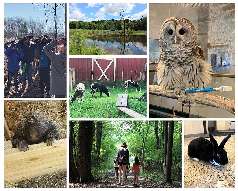 Did You Know Admission is Free at This Grand Rapids Nature Center in April?