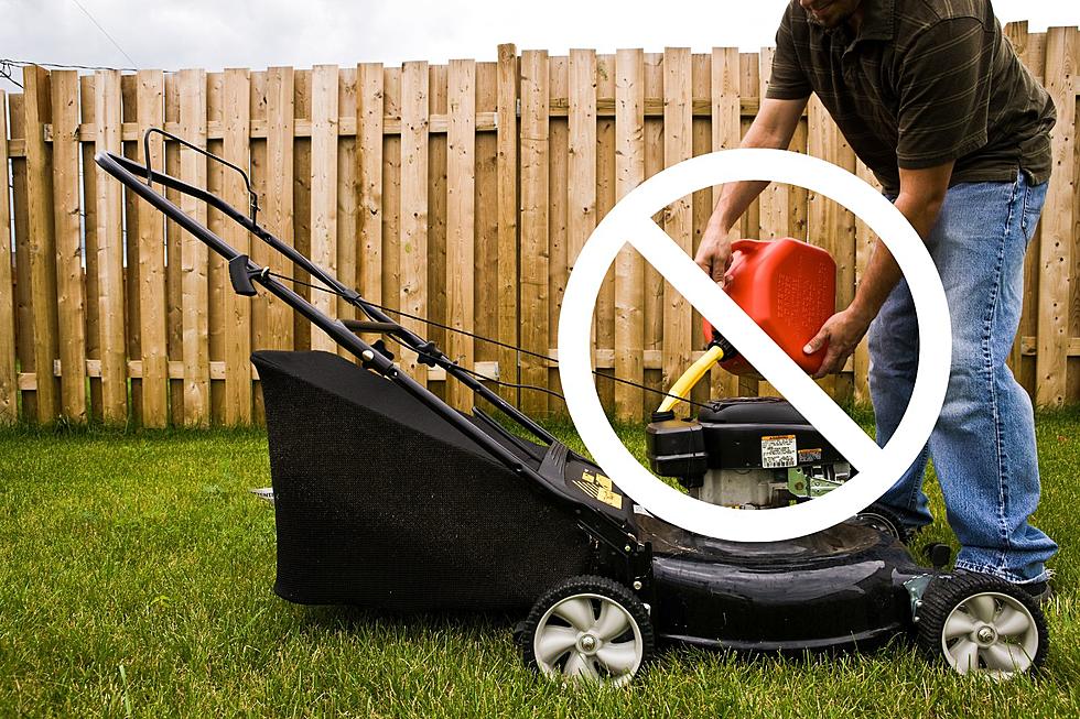 People Moving to Electric Lawn Tools And Here’s Some of The Best