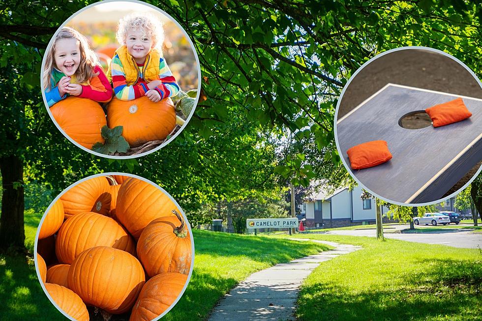 Score a Free Pumpkin at Friends of Grand Rapids Parks Party This Saturday