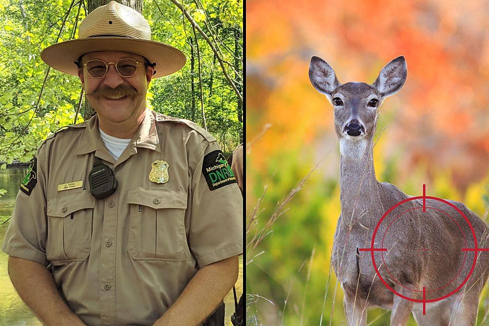 Michigan DNR Ask Hunters To Shoot A Doe, But Could DNR Do More?