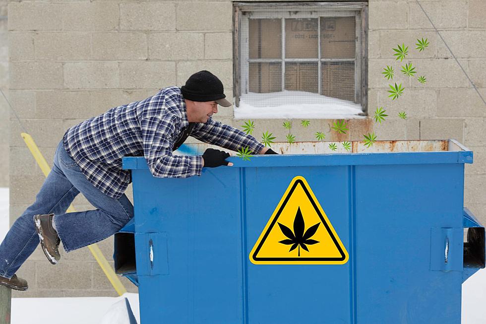 Are Michiganders Dumpster Diving at Cannabis Facilities?